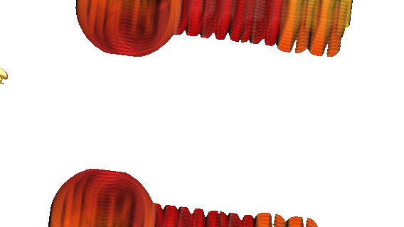 NAGACC Logo
